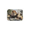 "Pride Of Place" - 2.5" X 3.5" Rectangle Fridge Magnets