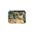 "Cliff Dweller" - 2.5" X 3.5" Rectangle Fridge Magnets