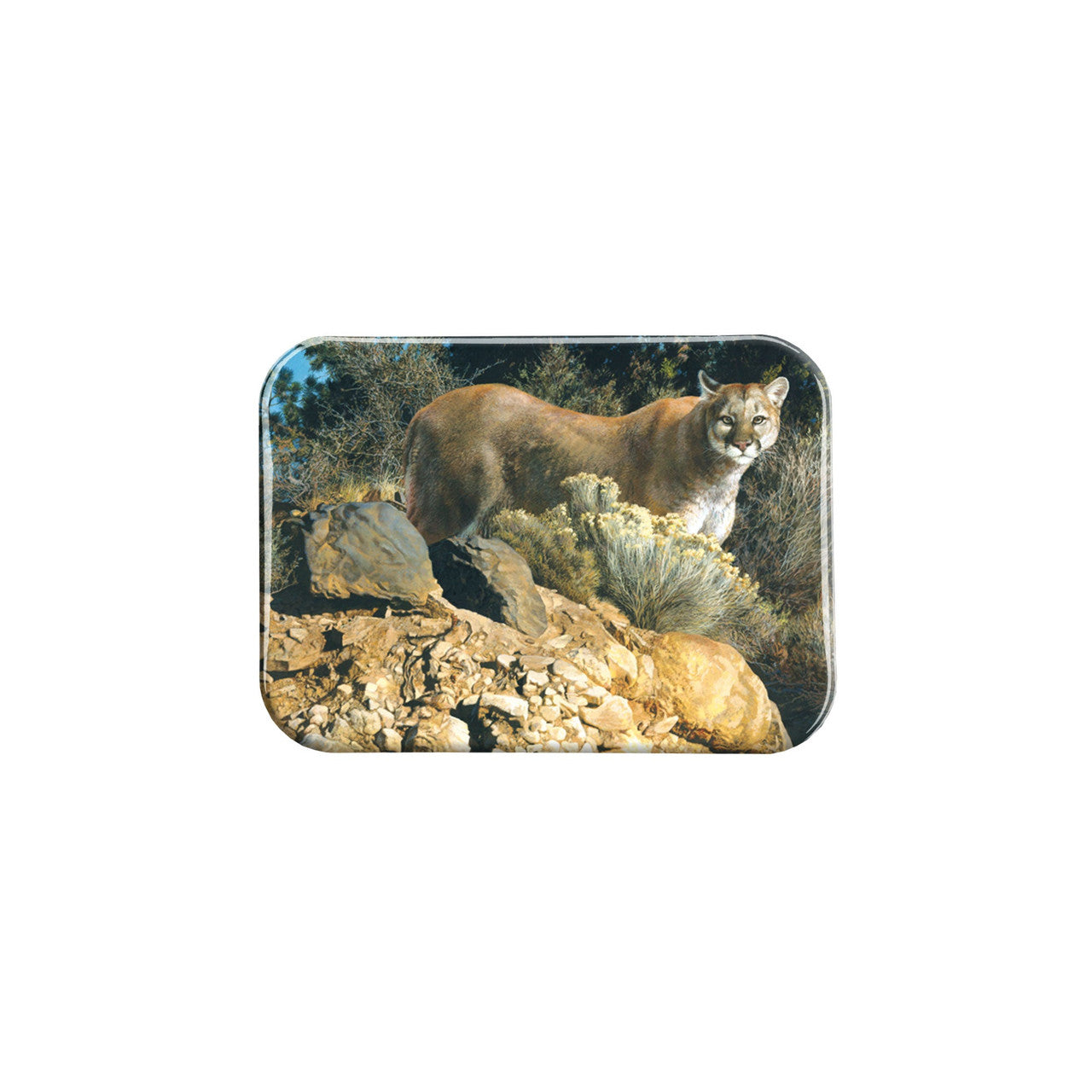 "Cliff Dweller" - 2.5" X 3.5" Rectangle Fridge Magnets