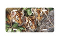 "Hide And Seek" - Decorative License Plate