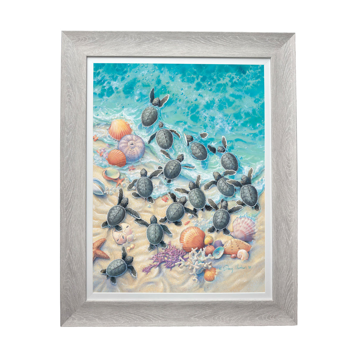 Green Turtle Hatchlings – Framed Coastal Wall Art by Sherry Vintson