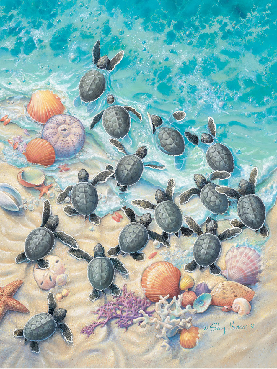 Green Turtle Hatchlings – Framed Coastal Wall Art by Sherry Vintson