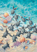 Green Turtle Hatchlings – Matted Art Print