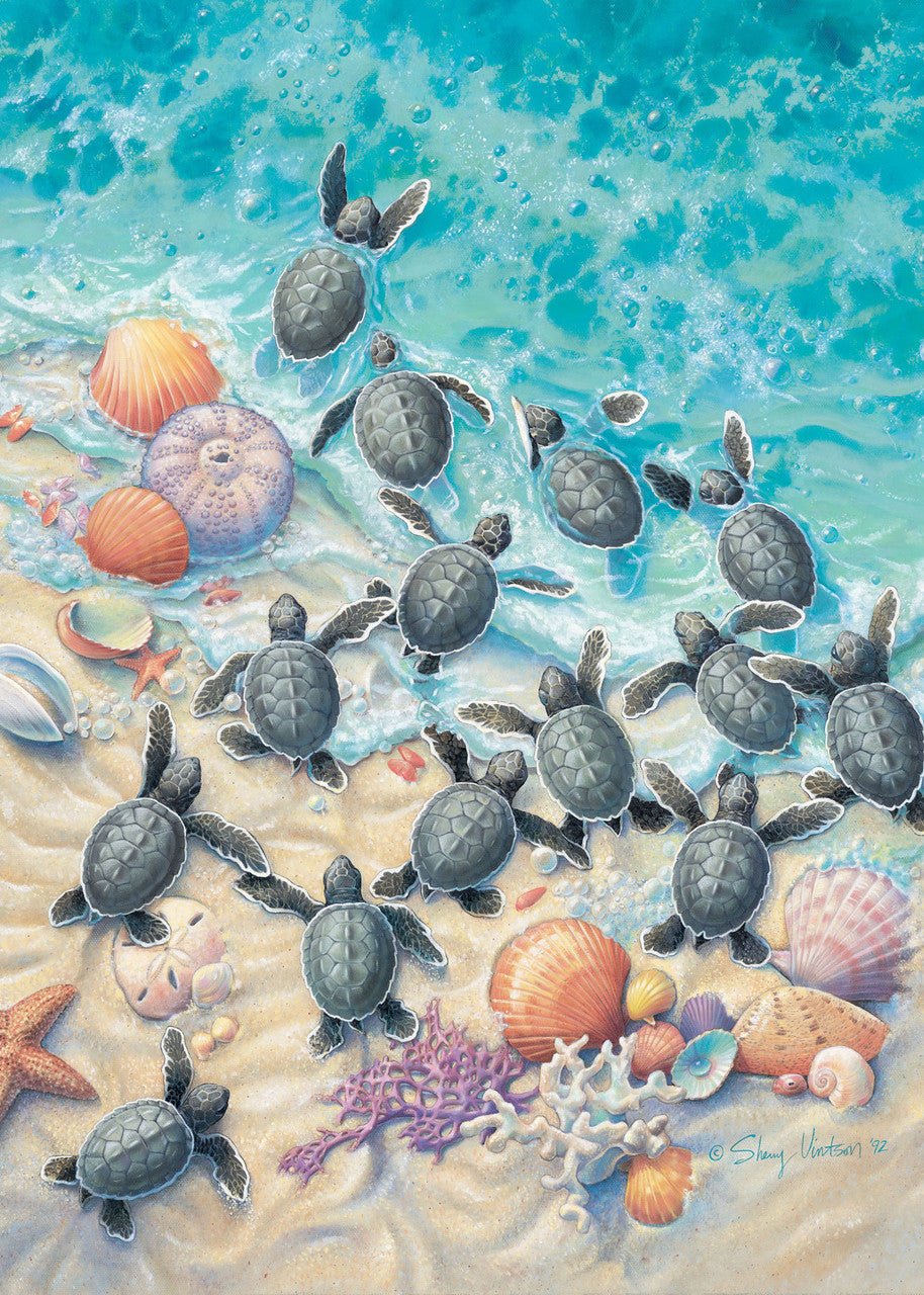 Green Turtle Hatchlings – Matted Art Print