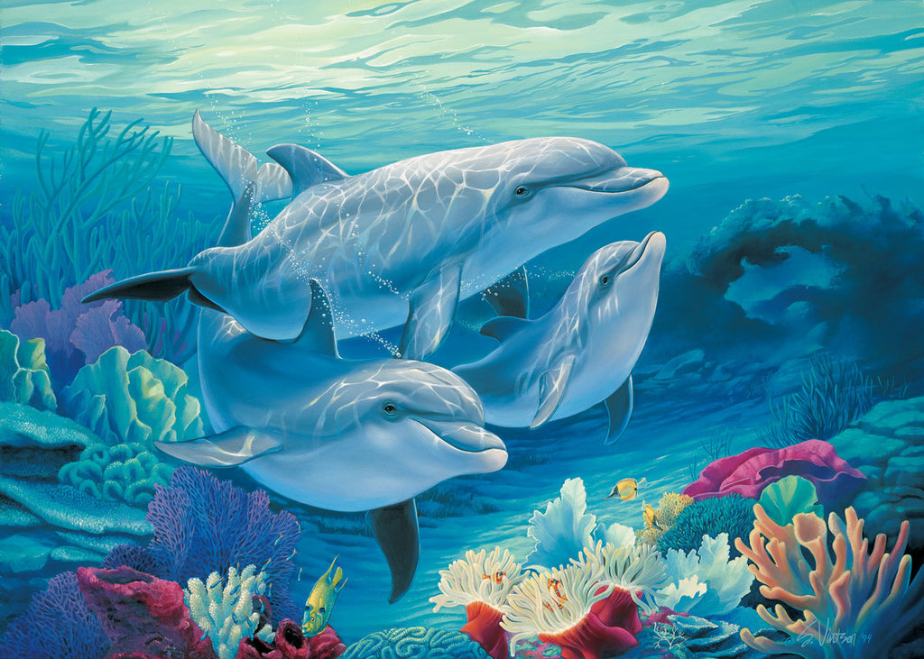 For Dolphin Lovers – Matted Art Print