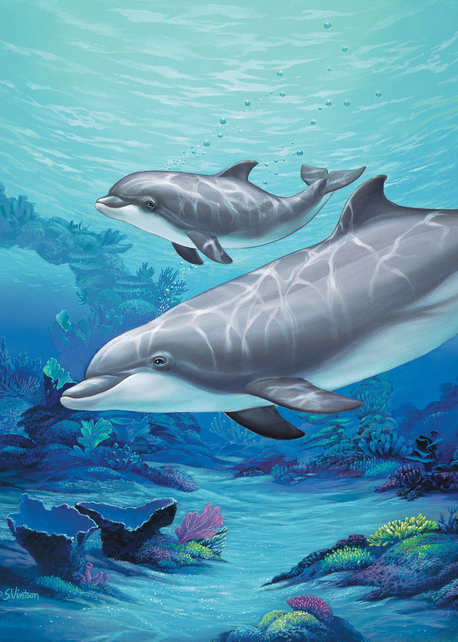 Dolphin and Baby – Matted Art Print