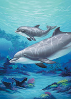 Dolphin and Baby – Matted Art Print