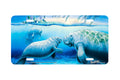 "Year Of The Manatee" - Decorative License Plate
