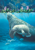 Manatee Haven – Matted Art Print