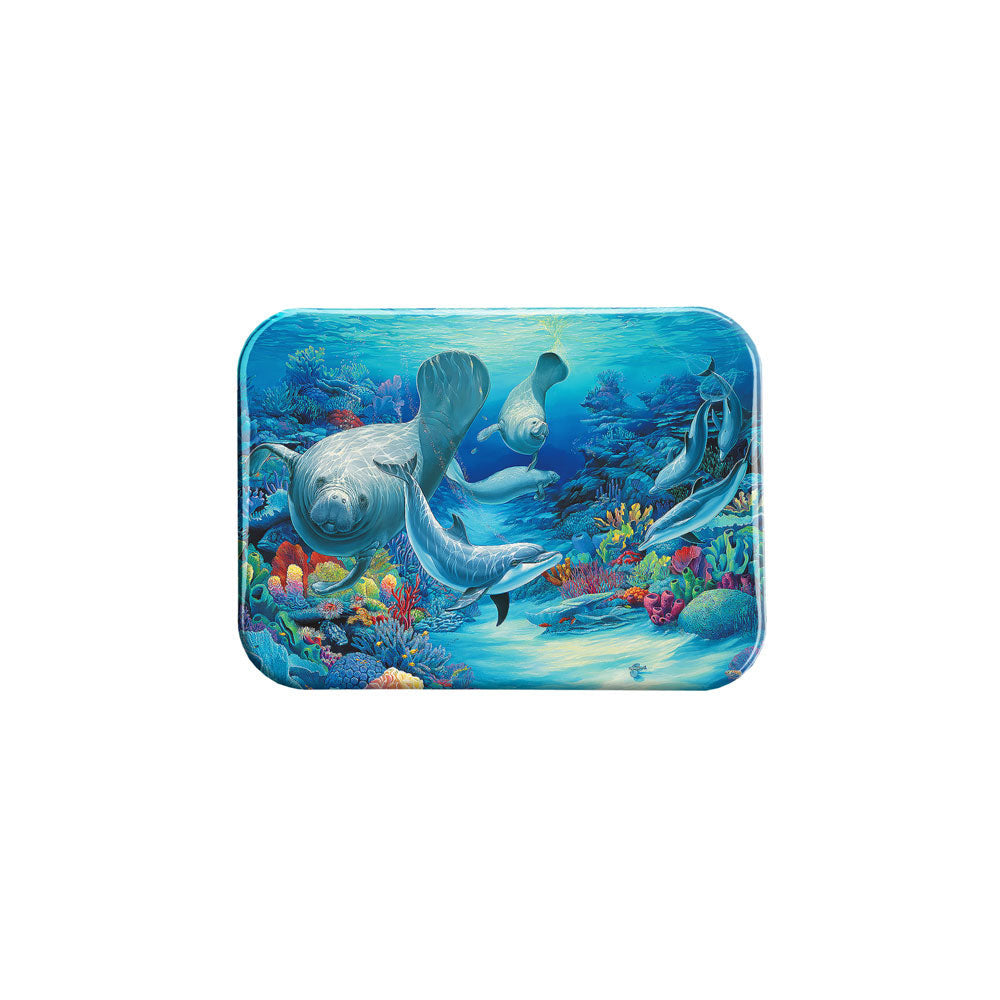 "Close Encounter II" - 2.5" X 3.5" Rectangle Fridge Magnets