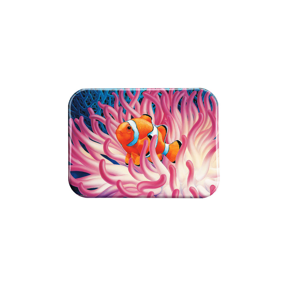 "Reef Secrets" - 2.5" X 3.5" Rectangle Fridge Magnets