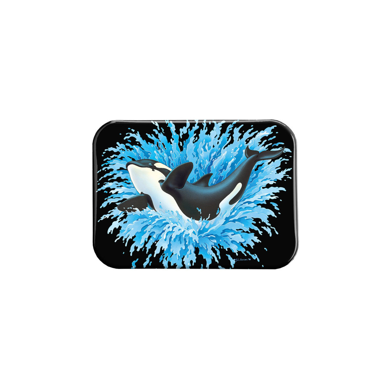 "Orca Splash" - 2.5" X 3.5" Rectangle Fridge Magnets