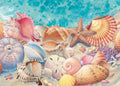 Sea Shells – Matted Art Print