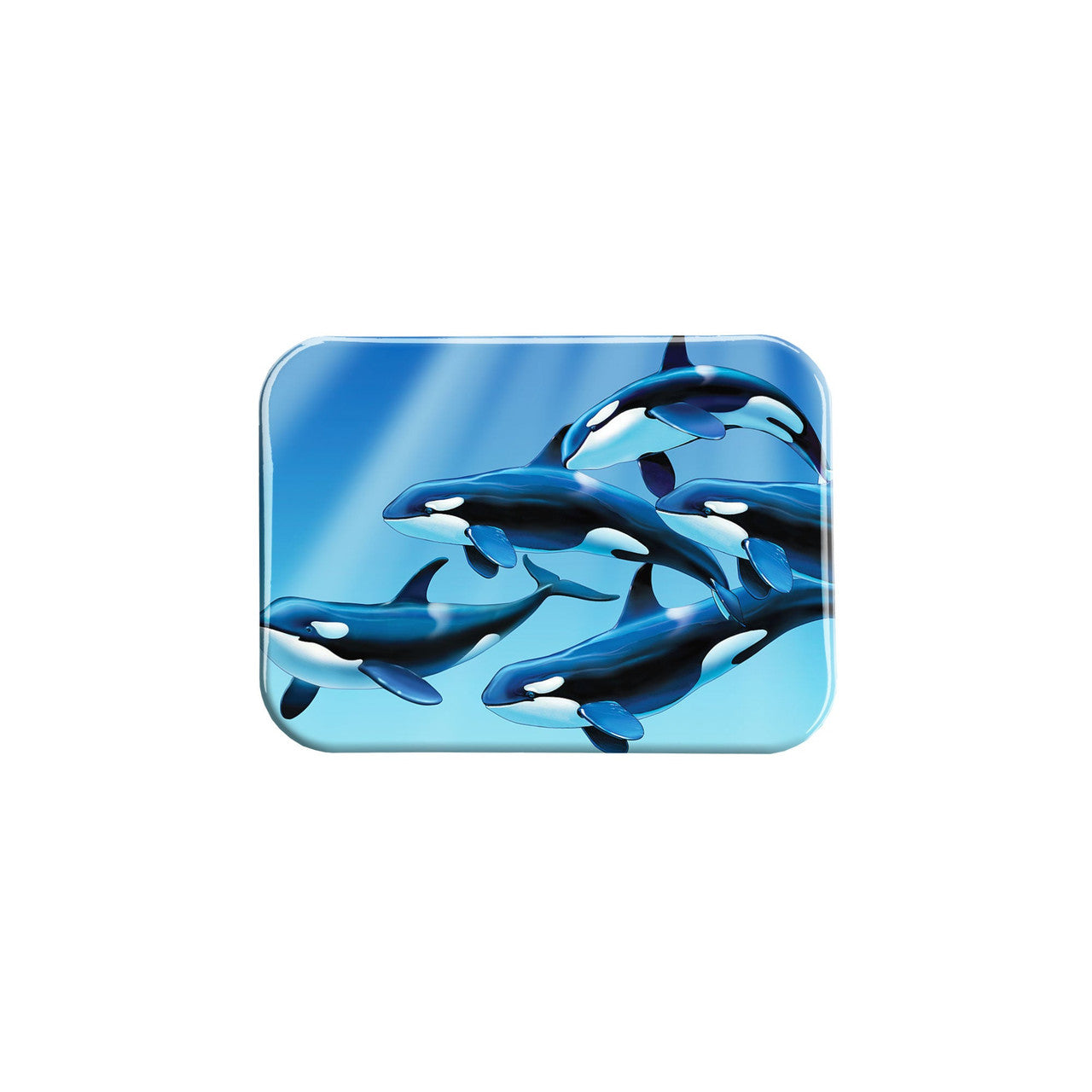 "Orcas" - 2.5" X 3.5" Rectangle Fridge Magnets