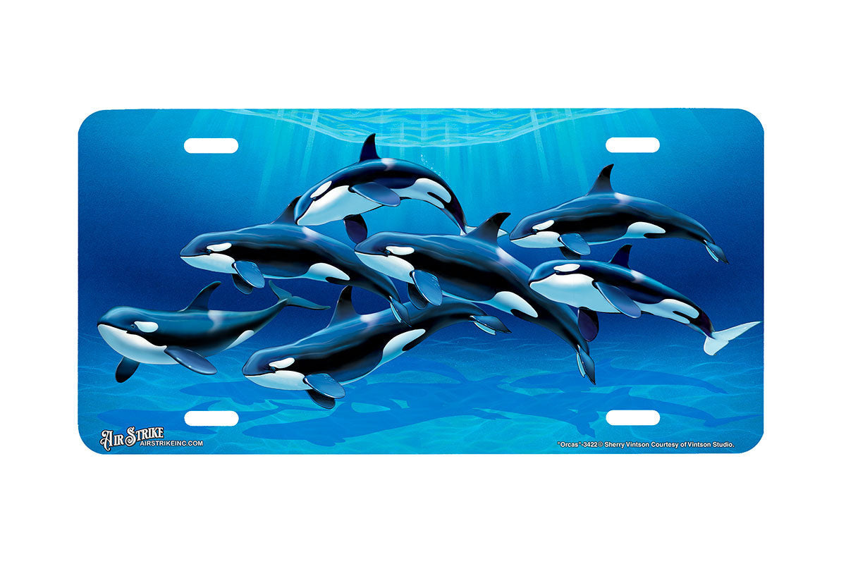 "Orcas" - Decorative License Plate