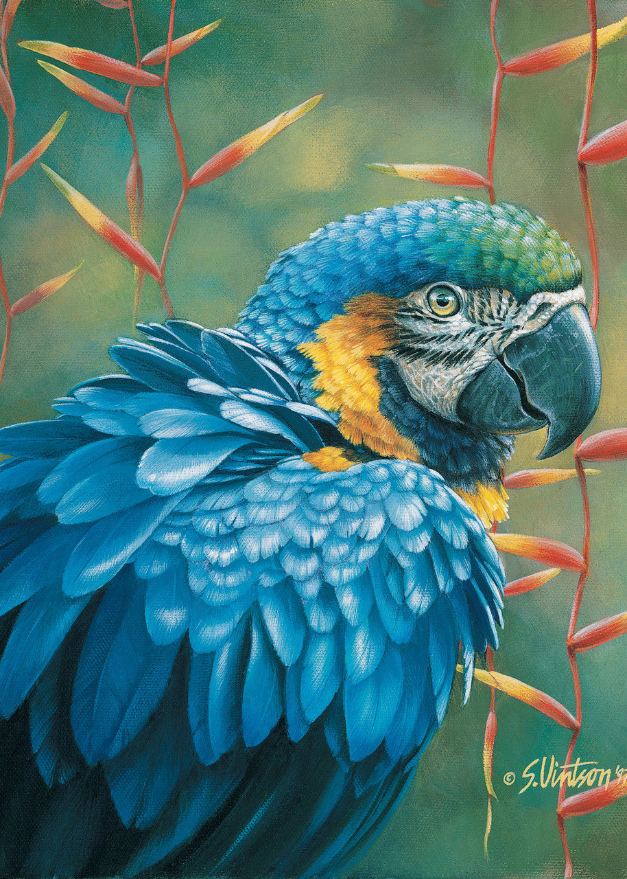 Blue Macaw – Matted Art Print