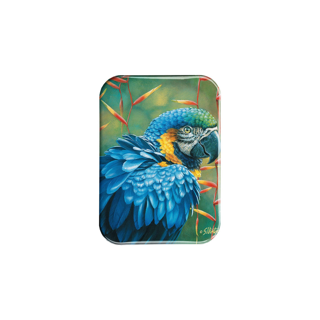 "Blue Macaw" - 2.5" X 3.5" Rectangle Fridge Magnets