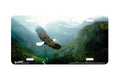 "In To The Mist" - Decorative License Plate