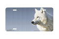 "Artic Wolf Portrait" - Decorative License Plate