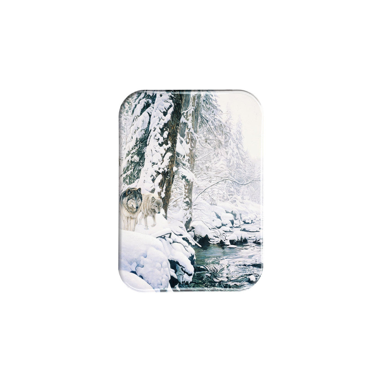 "Tracking the Edge" - 2.5" X 3.5" Rectangle Fridge Magnets
