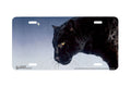 "Into the Night" - Decorative License Plate