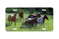 "Freedom Run" - Decorative License Plate
