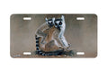 "Lemurs" - Decorative License Plate