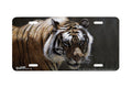 "Catwalk II" - Decorative License Plate