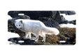 "Arctic Sun" - Decorative License Plate