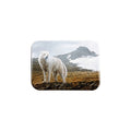 "Tundra Song" - 2.5" X 3.5" Rectangle Fridge Magnets