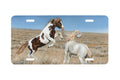"Western Spirits" - Decorative License Plate
