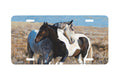 "Western Companions" - Decorative License Plate