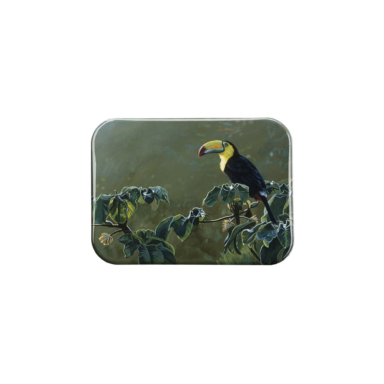 "Mayan Mist" - 2.5" X 3.5" Rectangle Fridge Magnets