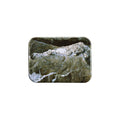 "Ice Castle II" - 2.5" X 3.5" Rectangle Fridge Magnets