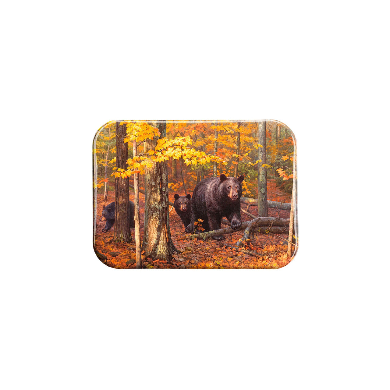"Many Faces of the Woods" - 2.5" X 3.5" Rectangle Fridge Magnets