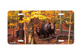 "Many Faces of the Woods" - Decorative License Plate