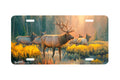 "Morning Glory" - Decorative License Plate