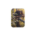 "Longing for Apples" - 2.5" X 3.5" Rectangle Fridge Magnets