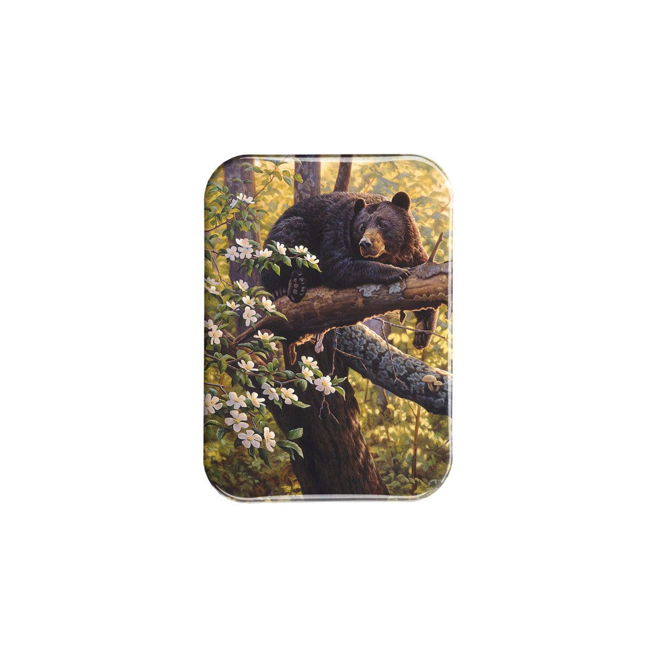 "Longing for Apples" - 2.5" X 3.5" Rectangle Fridge Magnets