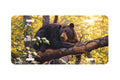"Longing for Apples" - Decorative License Plate