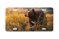 "Bear" - Decorative License Plate