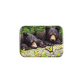 "Discovery Gould" - 2.5" X 3.5" Rectangle Fridge Magnets