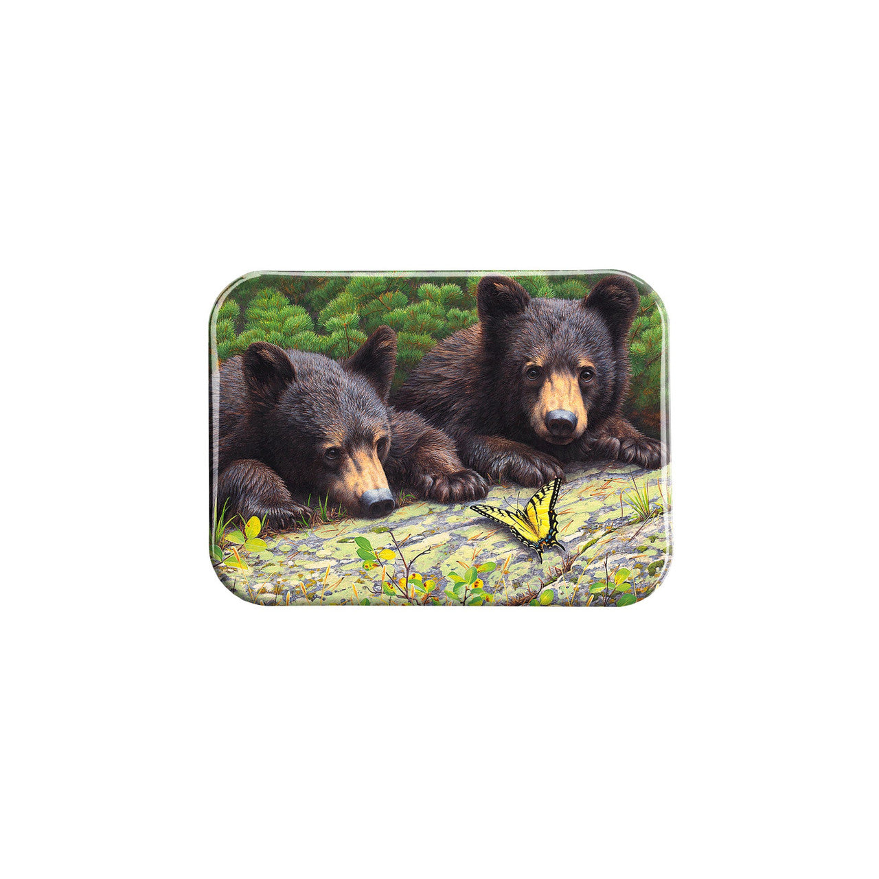 "Discovery Gould" - 2.5" X 3.5" Rectangle Fridge Magnets
