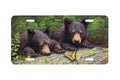 "Discovery Gould" - Decorative License Plate