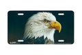 "Resolute" - Decorative License Plate