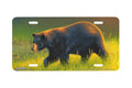 "Evening Stroll" - Decorative License Plate