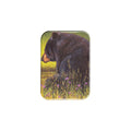 "Brookside Bruin" - 2.5" X 3.5" Rectangle Fridge Magnets