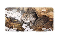 "The Mountain Ghost"- Decorative License Plate