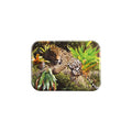 "Spirit of the Pantanal" - 2.5" X 3.5" Rectangle Fridge Magnets