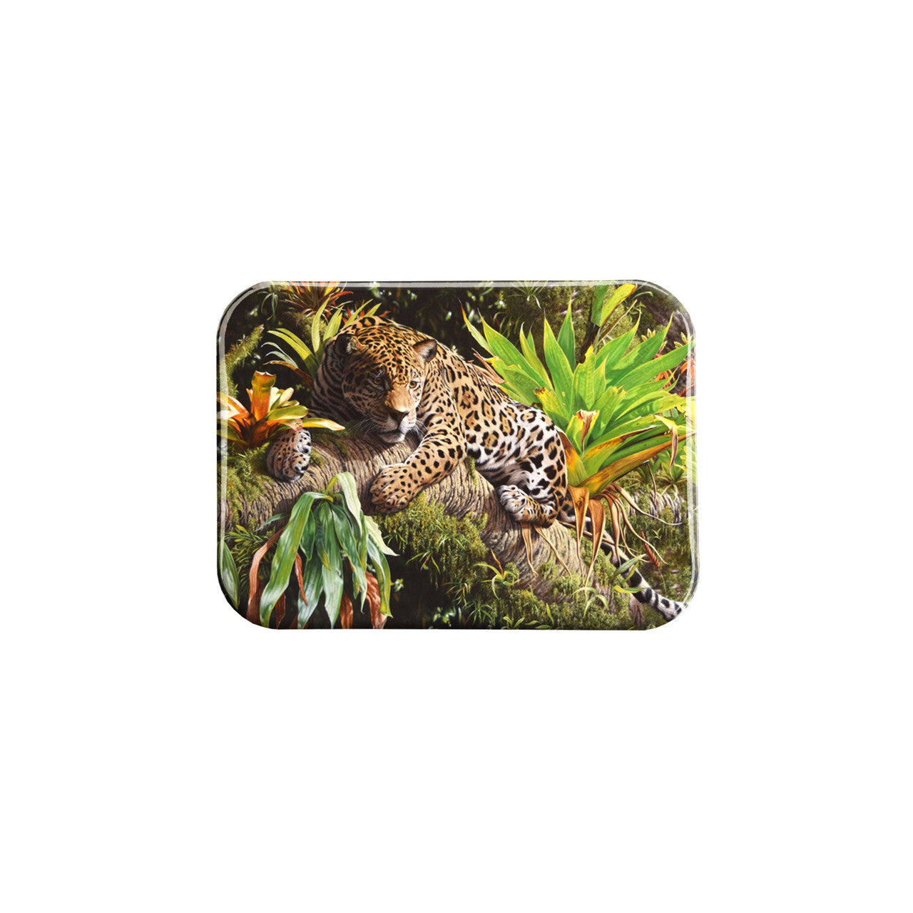 "Spirit of the Pantanal" - 2.5" X 3.5" Rectangle Fridge Magnets